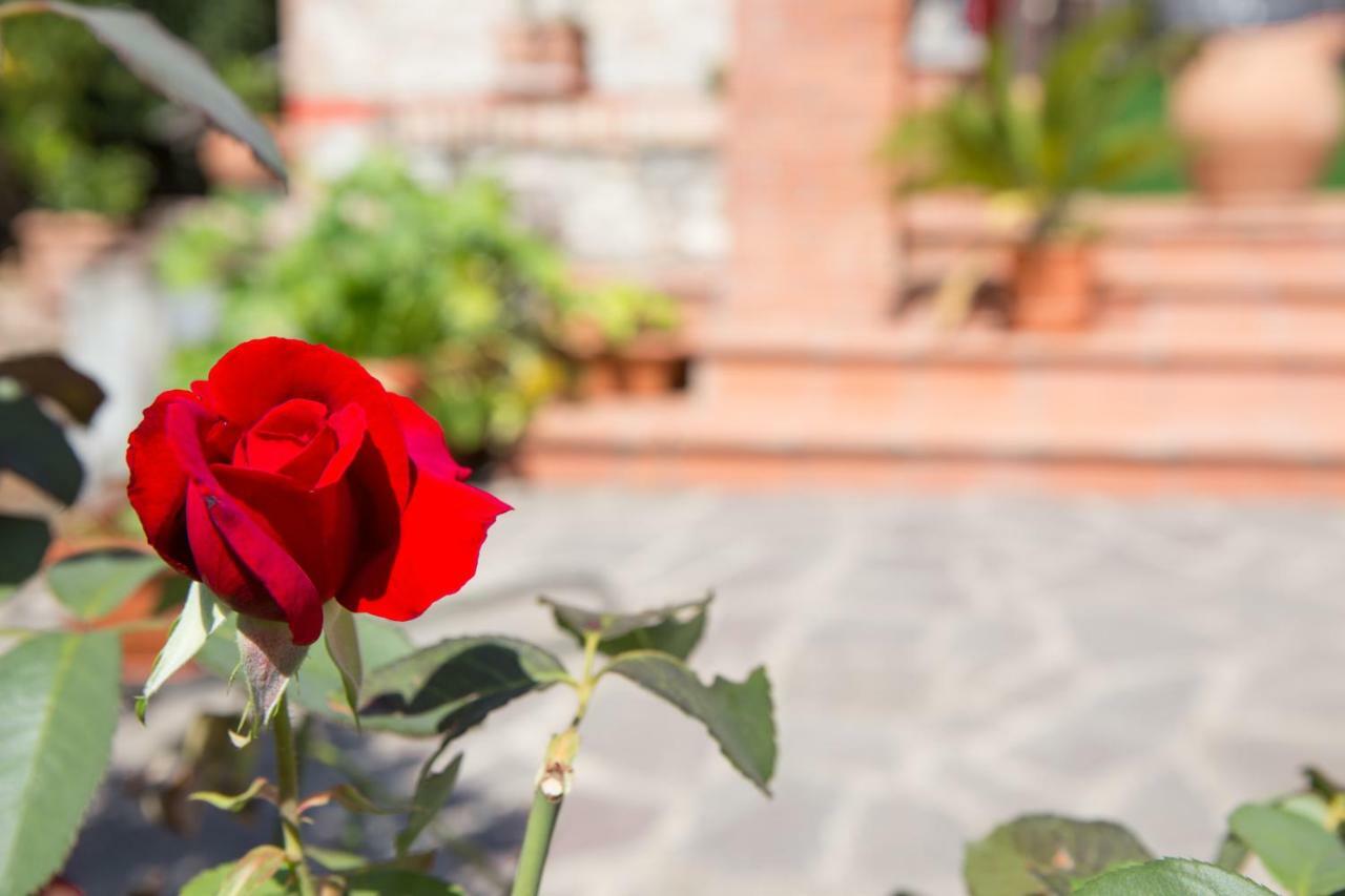 B&B Spring Perugia Exteriér fotografie