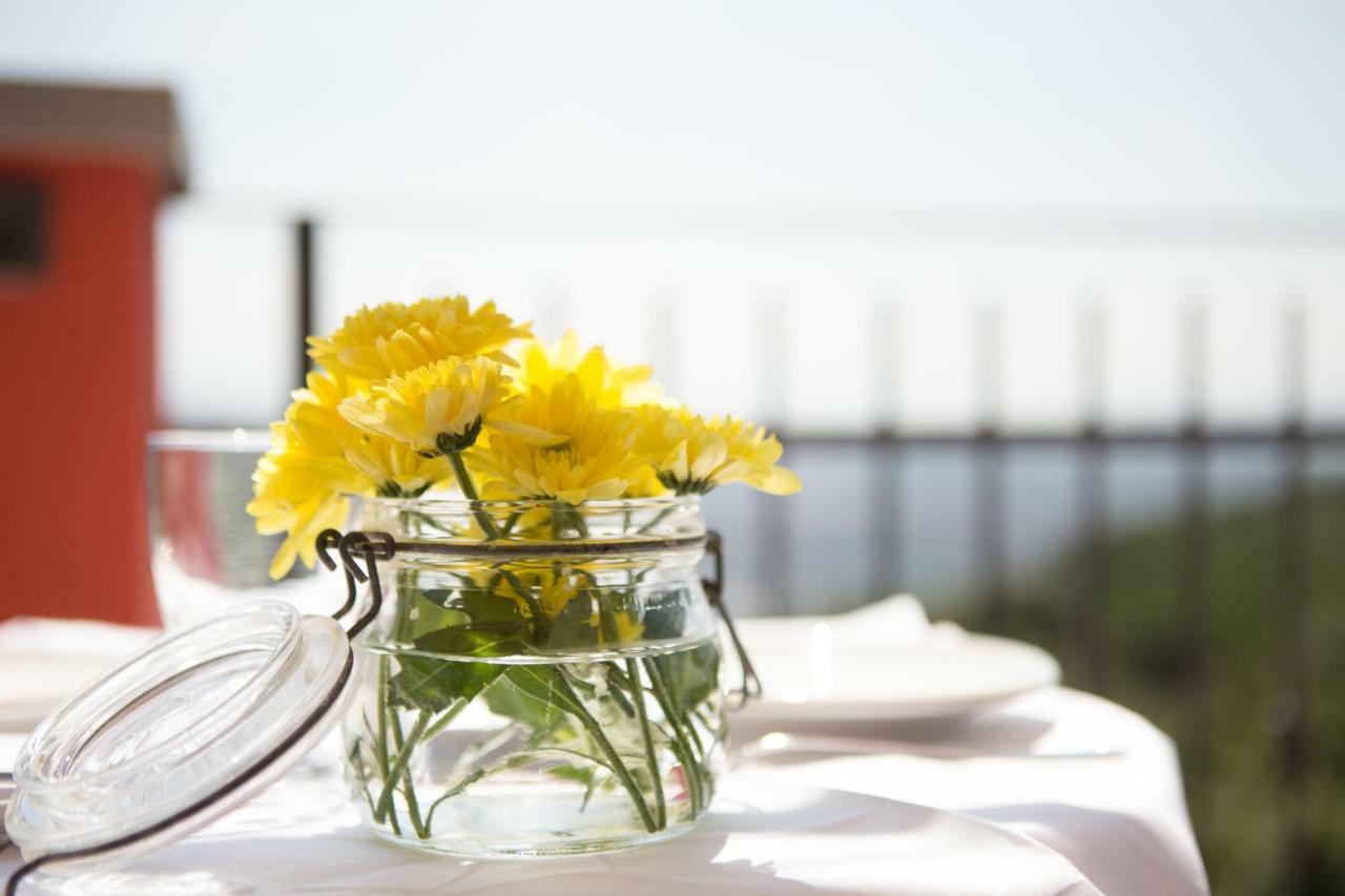 B&B Spring Perugia Exteriér fotografie